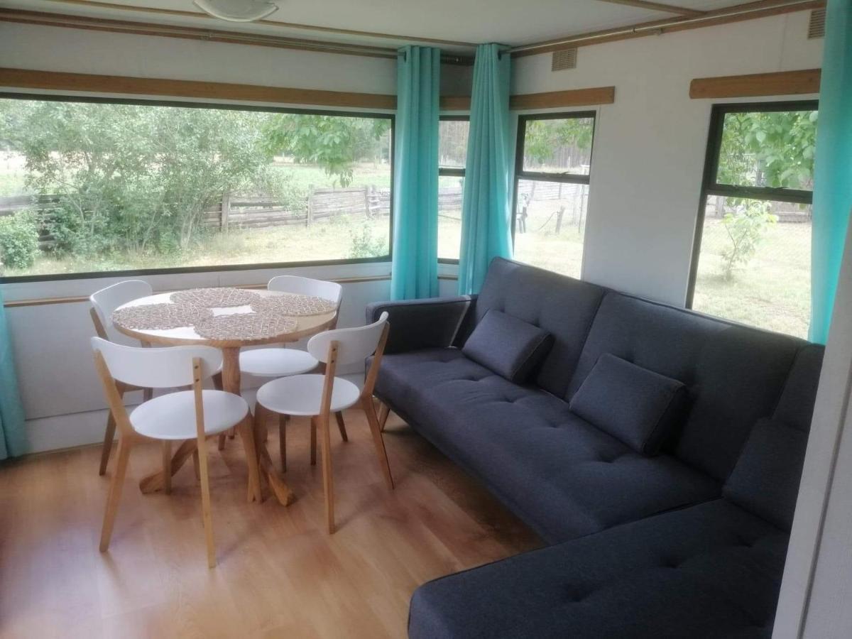 Villa "Koziolek Suchodolek" à Brody  Extérieur photo
