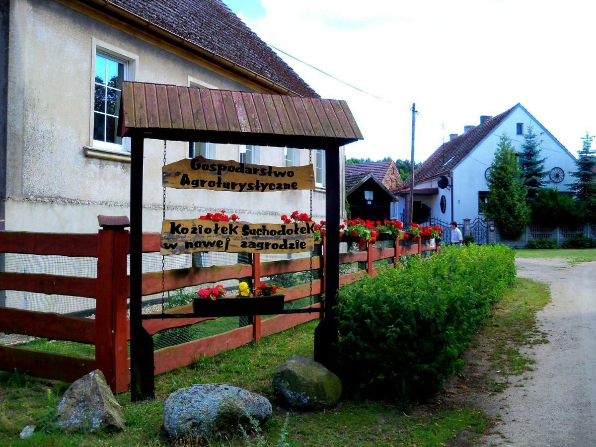 Villa "Koziolek Suchodolek" à Brody  Extérieur photo