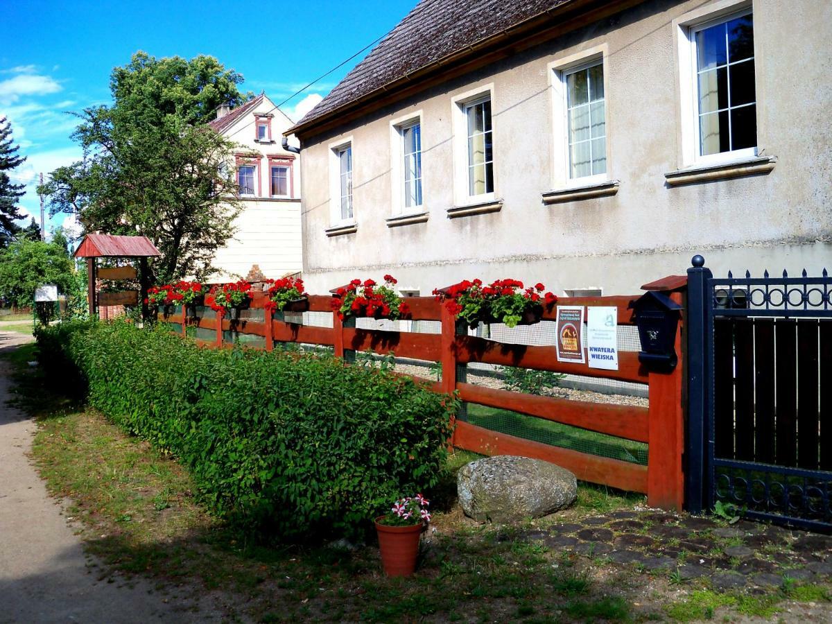 Villa "Koziolek Suchodolek" à Brody  Extérieur photo